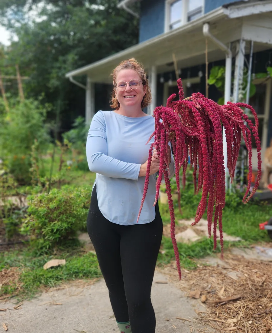 Katy Lydon McGreevy holding harvested amaranth in a productive garden